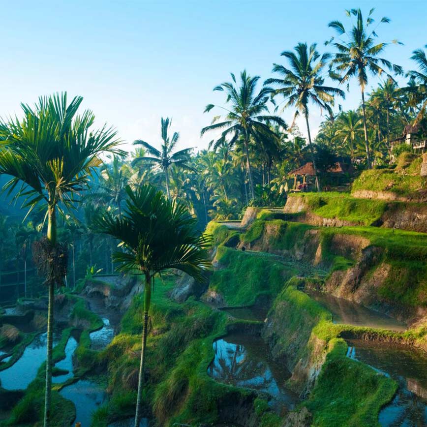 A Luxurious Balinese Honeymoon, 14 days from  £2,338